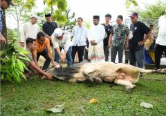 Sekda Distribusikan Daging ke THL dan Pegawai Kebersihan di Lingkungan Setdakab Kampar